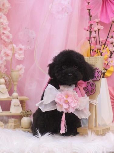 20250311レアちゃん